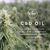 CBD Benefits, gh™ + CBD Oil
